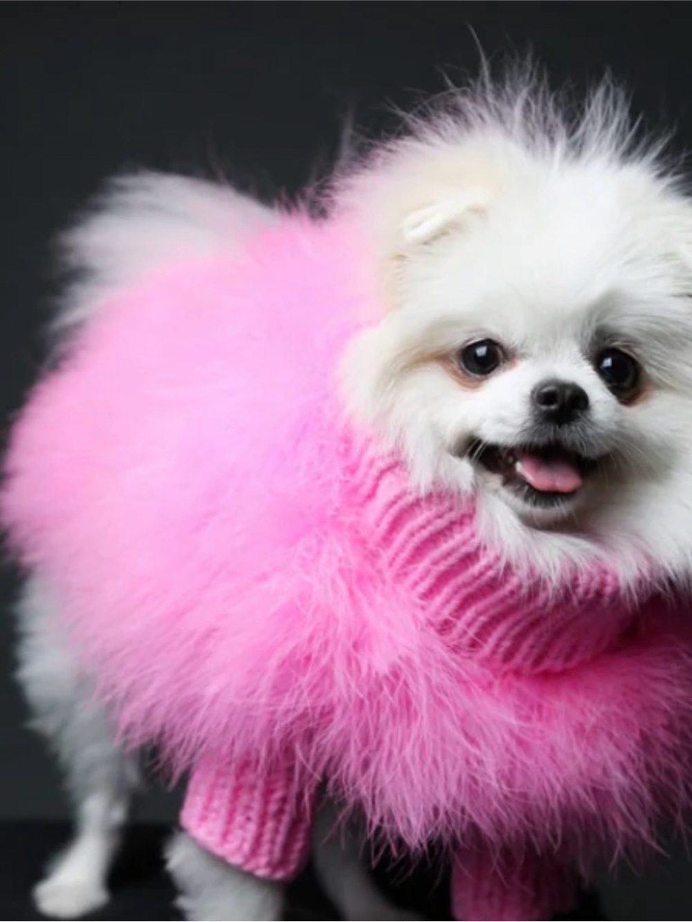 Plush Hot Pink Faux-Fur Dog Sweater - Luxury Max Bone X Christian Cowan
